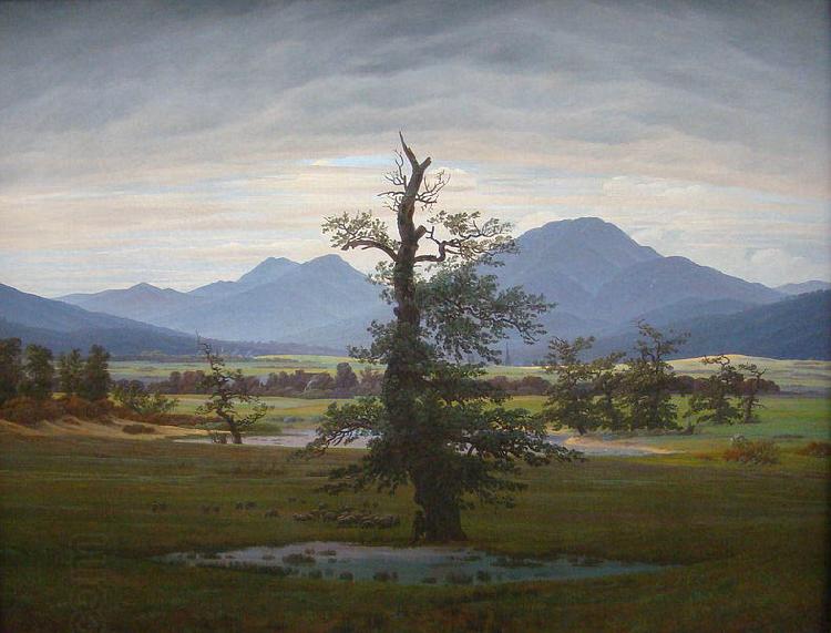 Caspar David Friedrich Landscape with Solitary Tree